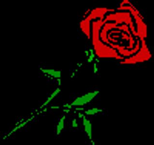 MauveRose Profile Photo